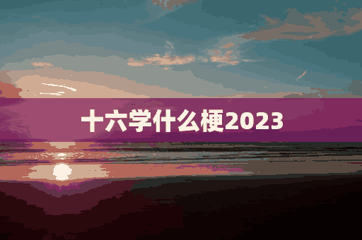 十六学什么梗2023